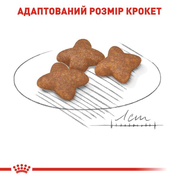 Сухий корм для собак Royal Canin Mini Adult дрібних порід старше 10 місяців 800 г 3001008 фото