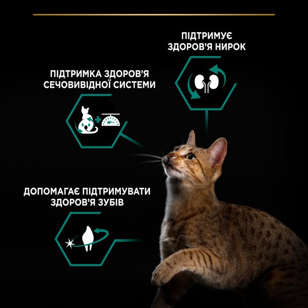 Сухий корм PRO PLAN (Про План) Sterilised Adult 1+ Renal Plus для дорослих котів після стерилізації з індичкою 400 г 7613033564673 фото