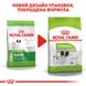 Сухий корм для собак Royal Canin X-Small Adult від 10 місяців 500 г 1003005 фото 6