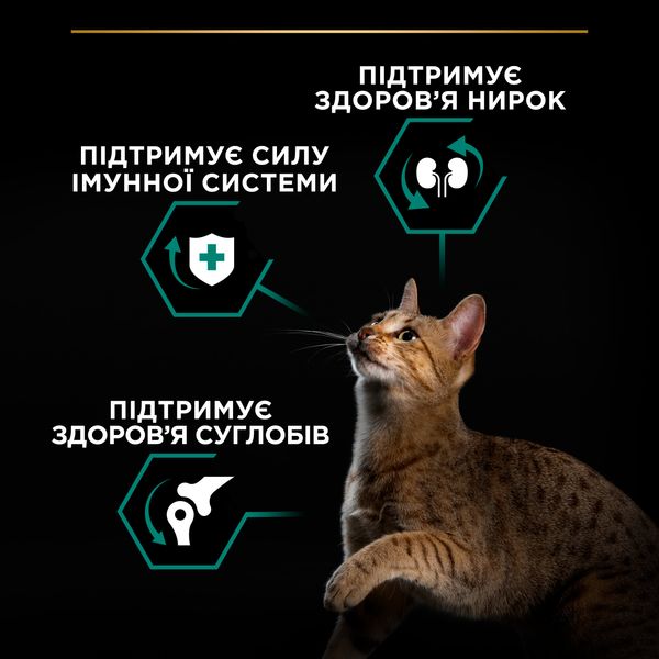 Сухий корм PRO PLAN (Про План) Adult 1+ Renal Plus для дорослих котів з куркою 1,5 кг 7613036505956 фото