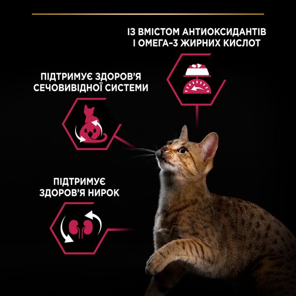 Сухий корм PRO PLAN (Про План) Sterilised Adult 1+ Savoury Duo для дорослих котів після стерилізації з качкою та печінкою 1,5 кг 7613036732369 фото