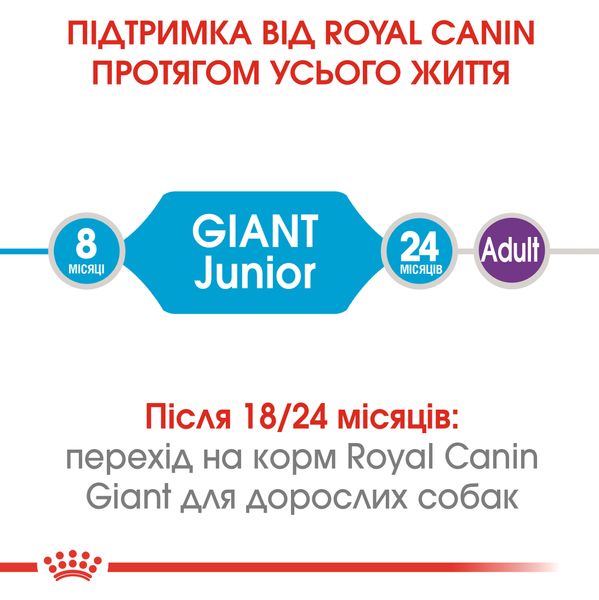 Сухий корм для цуценят гігантських порід Royal Canin Giant Junior старше 8 місяців 15 кг 3031150 фото