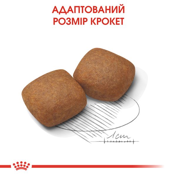 Сухий корм для цуценят гігантських порід Royal Canin Giant Junior старше 8 місяців 15 кг 3031150 фото