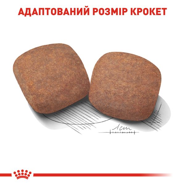 Сухий корм для дорослих собак Royal Canin Giant Adult гігантських порід старше 2 років 15 кг 3009150 фото