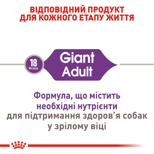 Сухий корм для дорослих собак Royal Canin Giant Adult гігантських порід старше 2 років 15 кг 3009150 фото