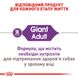 Сухий корм для дорослих собак Royal Canin Giant Adult гігантських порід старше 2 років 15 кг 3009150 фото 3