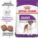 Сухий корм для дорослих собак Royal Canin Giant Adult гігантських порід старше 2 років 15 кг 3009150 фото 2