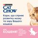 Сухий корм CAT CHOW (Кет Чау) Kitten для кошенят з куркою 15 кг 5997204514028 фото 5