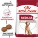 Сухий корм для собак Royal Canin Medium Adult 7+ середніх порід старше 7 років 4 кг 3005040 фото 2