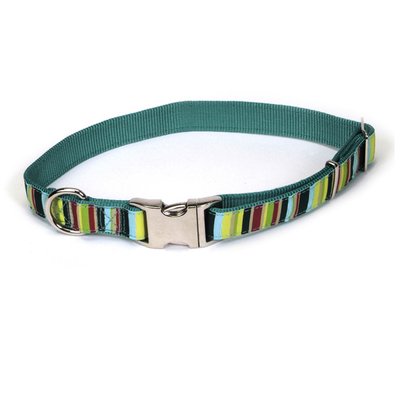 Coastal Pet Attire Ribbon КОСТАЛ РІББОН нашийник для собак, 2.5х46-66см , Мультиколор, 2,5 х 46-66 см 61971_MSP26 фото