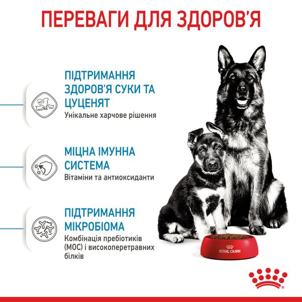 Сухий корм для щенят великих порід Royal Canin Maxi Starter до 2 місяців 4 кг 29940400 фото