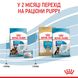 Сухий корм для щенят великих порід Royal Canin Maxi Starter до 2 місяців 4 кг 29940400 фото 8