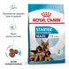 Сухий корм для щенят великих порід Royal Canin Maxi Starter до 2 місяців 4 кг 29940400 фото 3