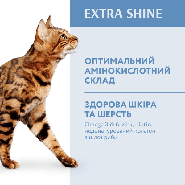 OPTIMEAL™ Повнораціонний сухий корм для дорослих котів з високим вмістом тріски 700 г B1811301 фото