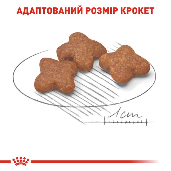 Сухий повнораційний корм Royal Canin Mini Adult 8+ - сухий корм для собак малих порід старше 8 років 0.8 кг 30020089 фото