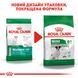 Сухий повнораційний корм Royal Canin Mini Adult 8+ - сухий корм для собак малих порід старше 8 років 0.8 кг 30020089 фото 7