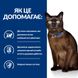 Hill’s (Хілс) Prescription Diet m/d Сухий корм для котів при цукровому діабеті, з куркою, 1,5 кг 605918 фото 5