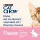 Вологий корм CAT CHOW (Кет Чау) Kitten для кошенят шматочки в желе з індичкою та цукіні 26 шт х 85 г 7613036595001 фото 4