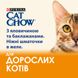 Вологий корм CAT CHOW (Кет Чау) Adult для дорослих котів шматочки в желе з яловичиною та баклажанами 26 шт х 85 г 7613036595025 фото 4