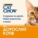 Вологий корм CAT CHOW (Кет Чау) Adult для дорослих котів шматочки в желе з куркою та цукіні 26 шт х 85 г 7613036595049 фото 4