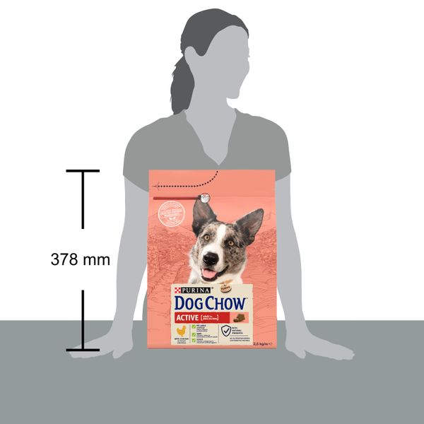 Сухий корм DOG CHOW (Дог Чау) Active Adult 1+ для дорослих собак з підвищеною активністю з куркою 2,5 кг 7613034487858 фото